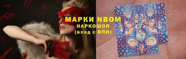 стафф Абинск