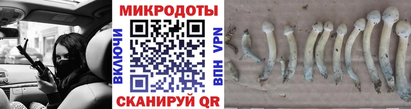 Псилоцибиновые грибы ЛСД  Жердевка 