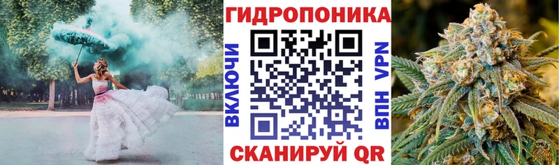 Бошки марихуана гибрид Жердевка